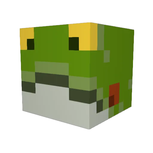 Vallytoad Minecraft avatar head, 3D render