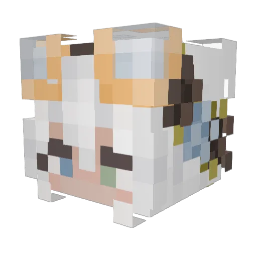 Valnel Minecraft avatar head, 3D render