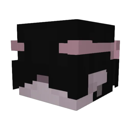 Valoricx Minecraft avatar head, 3D render