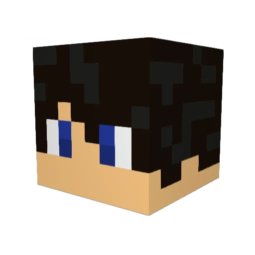 Valou246 Minecraft avatar head, 3D render