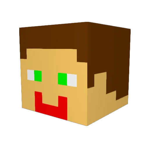Valou343 Minecraft avatar head, 3D render