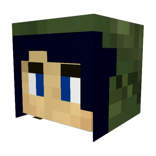 Valou593 Minecraft avatar head, 3D render