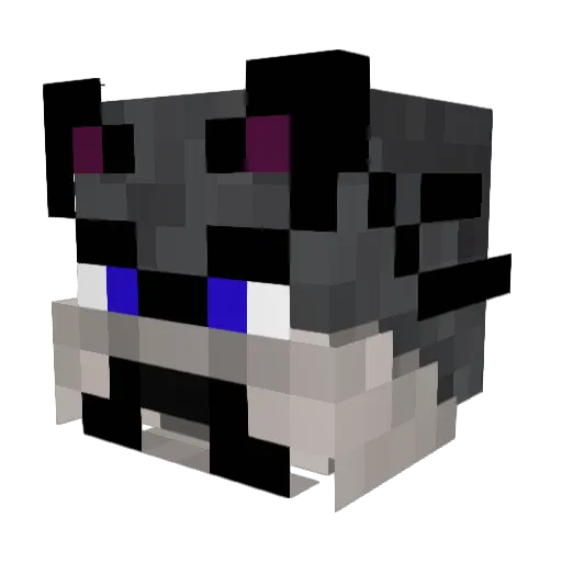 ValouchBG Minecraft avatar head, 3D render