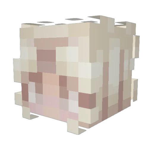 Valpmaster Minecraft avatar head, 3D render