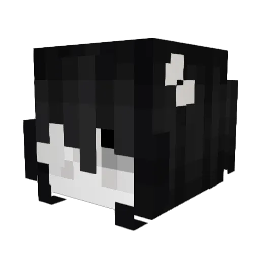 Valqori Minecraft avatar head, 3D render