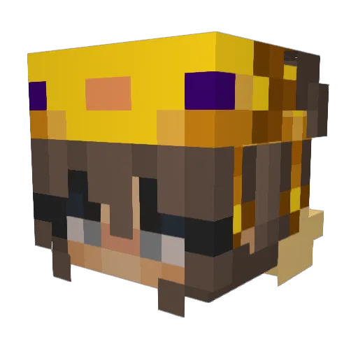 Valram2011 Minecraft avatar head, 3D render
