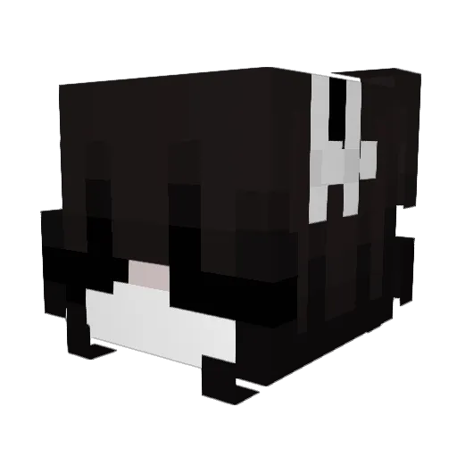 Valruda Minecraft avatar head, 3D render