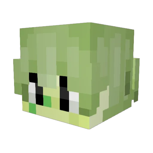 Valsik5 Minecraft avatar head, 3D render