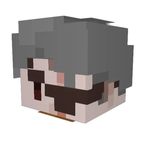 Valt1kka Minecraft avatar head, 3D render