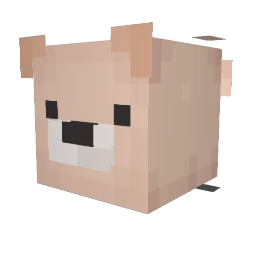 ValuBear Minecraft avatar head, 3D render