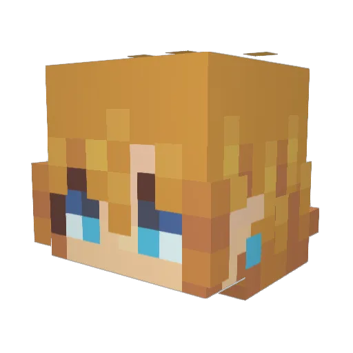 ValueVillageFTW Minecraft avatar head, 3D render