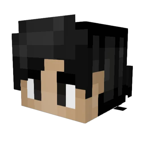Vamosakd Minecraft avatar head, 3D render