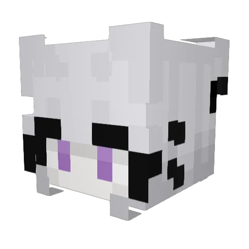 Vampire227 Minecraft avatar head, 3D render
