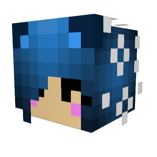 VampireNekoLover Minecraft avatar head, 3D render