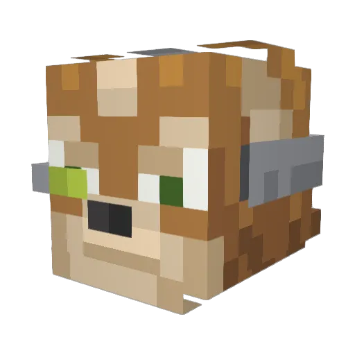 Vampirecatz Minecraft avatar head, 3D render