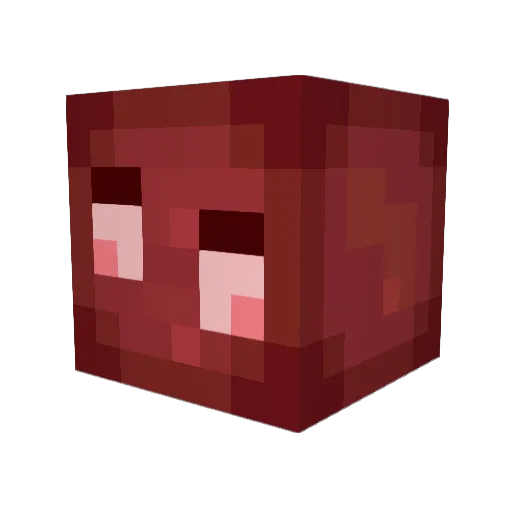 VampyroSquid Minecraft avatar head, 3D render