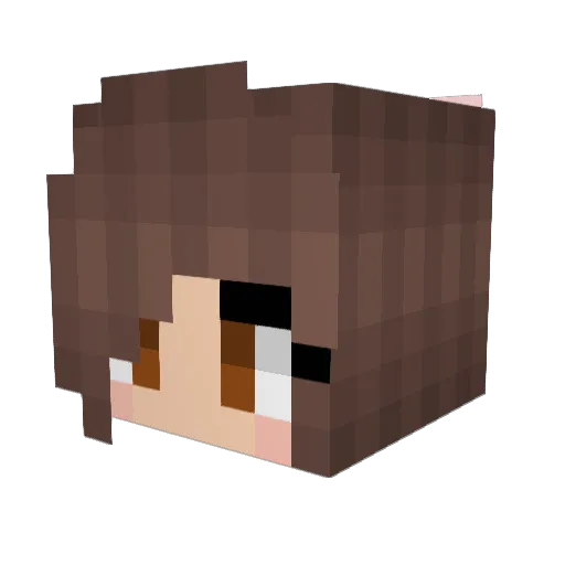 Van3lla Minecraft avatar head, 3D render