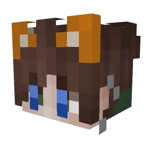 VanBugsling Minecraft avatar head, 3D render