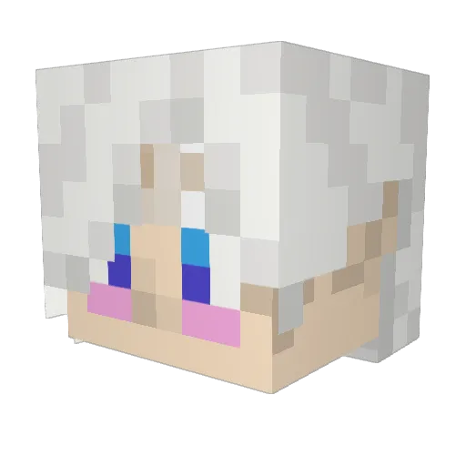 VanDiego Minecraft avatar head, 3D render