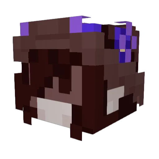 VanDragon0305 Minecraft avatar head, 3D render