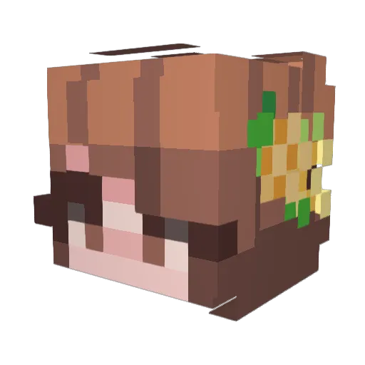 VanLiz Minecraft avatar head, 3D render