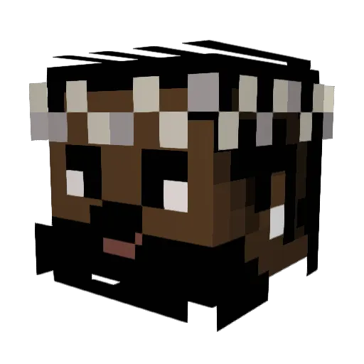 VanMan11 Minecraft avatar head, 3D render