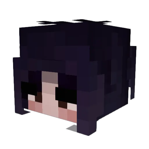 VanNessing Minecraft avatar head, 3D render