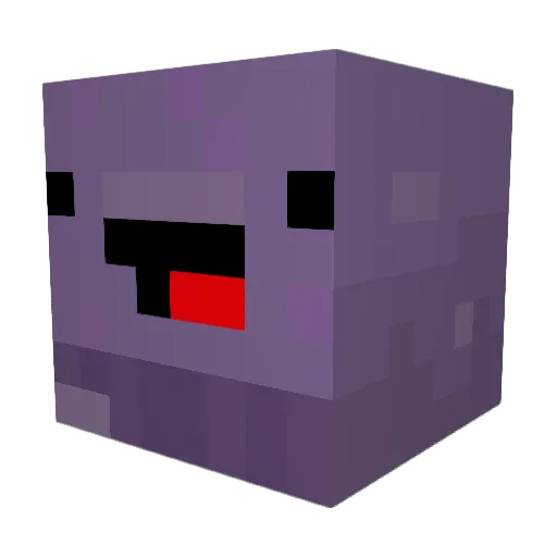 VanVan1 Minecraft avatar head, 3D render
