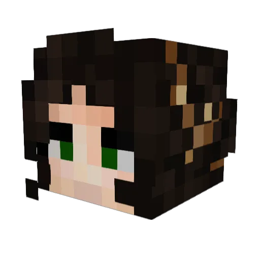 VanVi Minecraft avatar head, 3D render