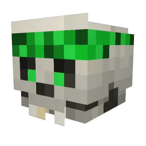 Van_Dunks Minecraft avatar head, 3D render