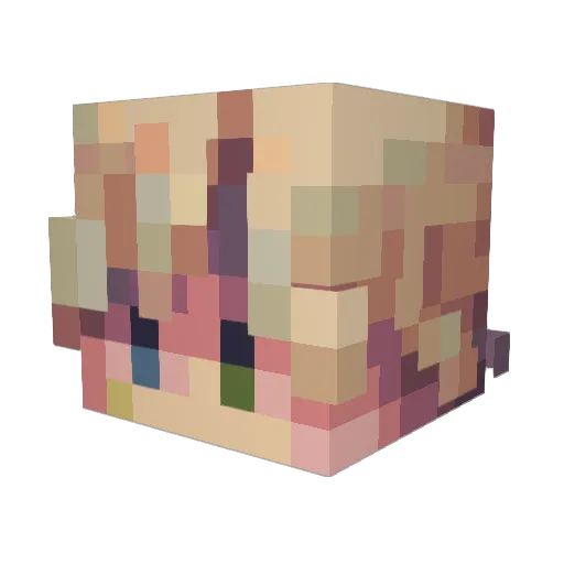 Van___Hohenheim Minecraft avatar head, 3D render