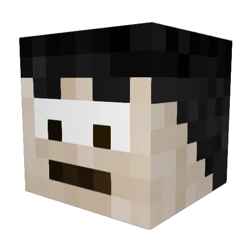 Vanberk13 Minecraft avatar head, 3D render
