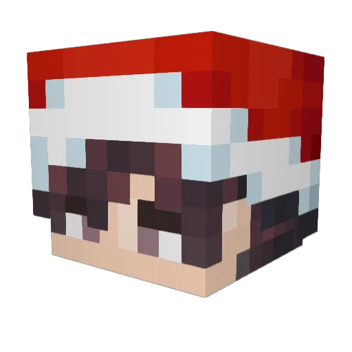 Vancheys Minecraft avatar head, 3D render