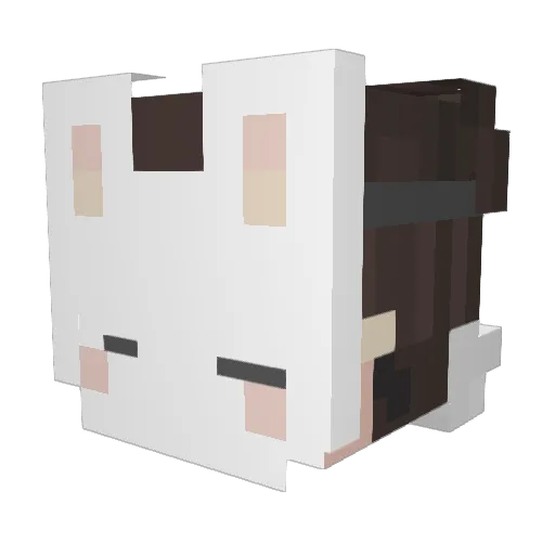 Vancouver1 Minecraft avatar head, 3D render