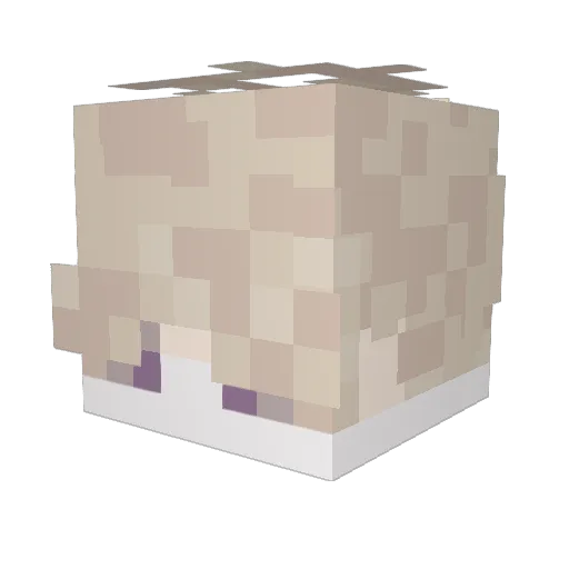 VandaCZ Minecraft avatar head, 3D render