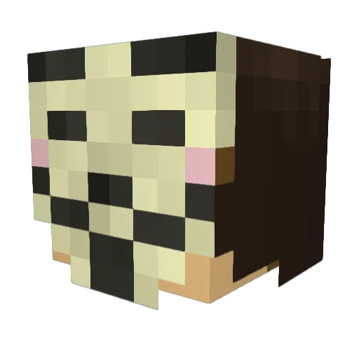 Vandellio Minecraft avatar head, 3D render