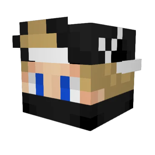 VanderOnSyrup Minecraft avatar head, 3D render