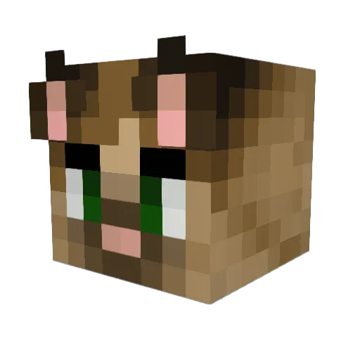 Vandercat Minecraft avatar head, 3D render