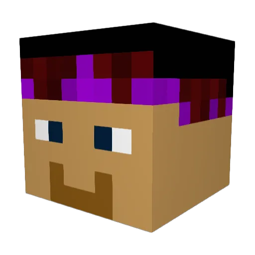 Vanderepo Minecraft avatar head, 3D render