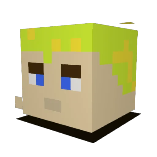 Vandermeulen Minecraft avatar head, 3D render