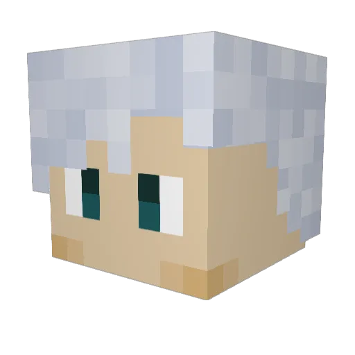 Vandetta117 Minecraft avatar head, 3D render