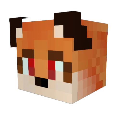 Vandiir1 Minecraft avatar head, 3D render