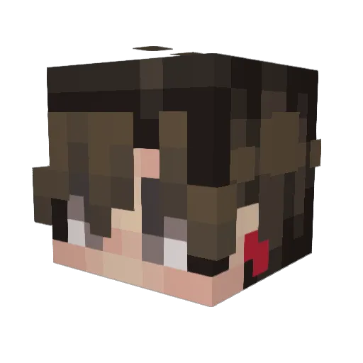 Vandilyn Minecraft avatar head, 3D render