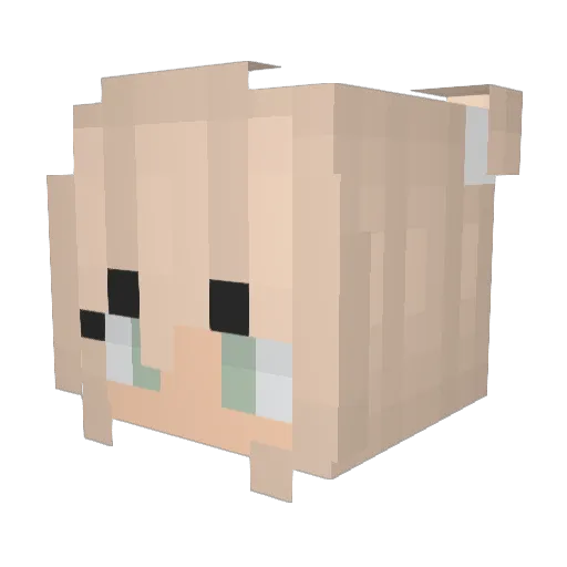 Vandpibe Minecraft avatar head, 3D render
