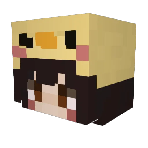 Vane1211 Minecraft avatar head, 3D render