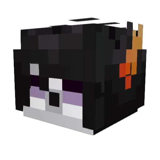 Vane41 Minecraft avatar head, 3D render