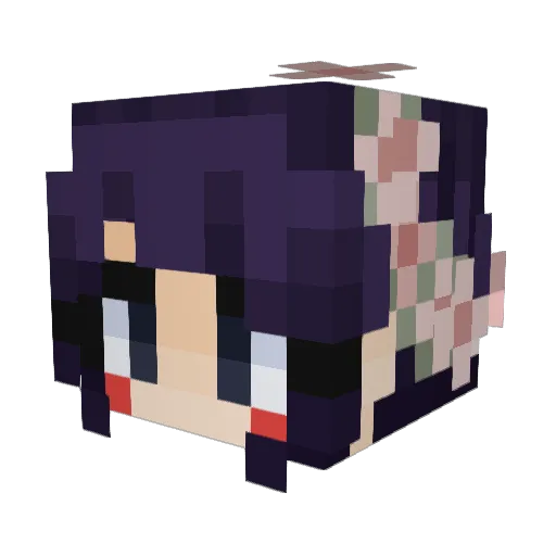 VaneST13 Minecraft avatar head, 3D render