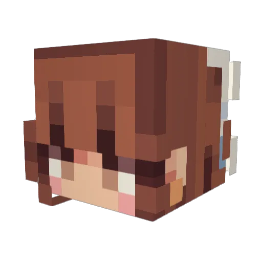 Vaneffa Minecraft avatar head, 3D render