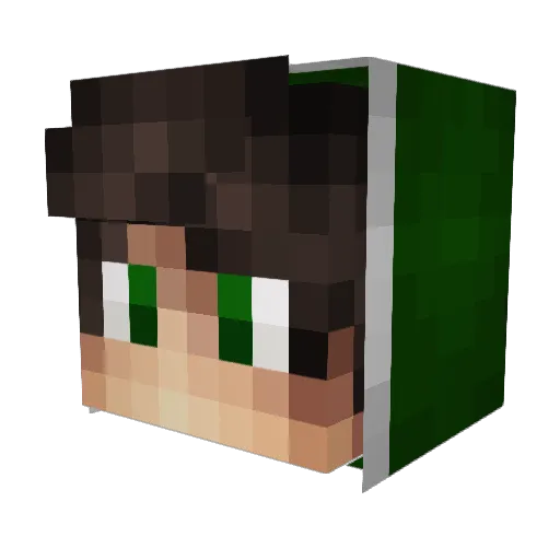 Vaneg1klol Minecraft avatar head, 3D render