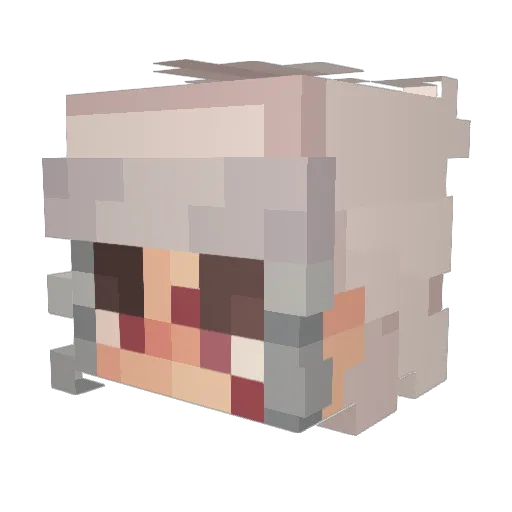 Vanegas1621 Minecraft avatar head, 3D render